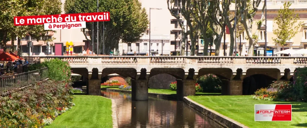 Vue panoramique de Perpignan avec ses bâtiments historiques et son environnement urbain.
